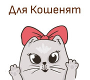 Для кошенят