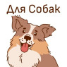 Для собак (23)