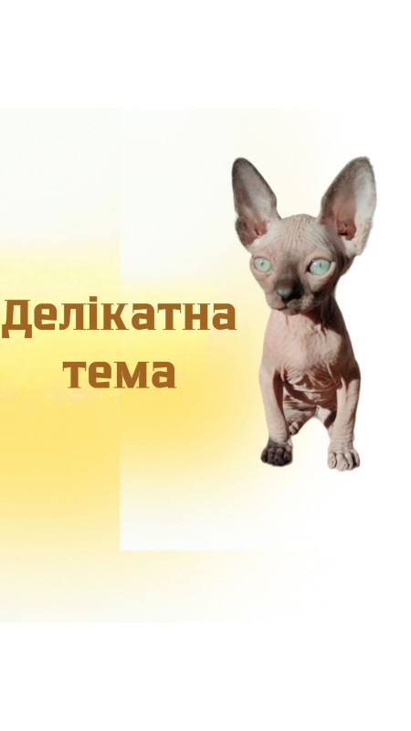 Ми незаслужено в наших постах пишемо слова «ваш пухнастик» забуваючи про те що