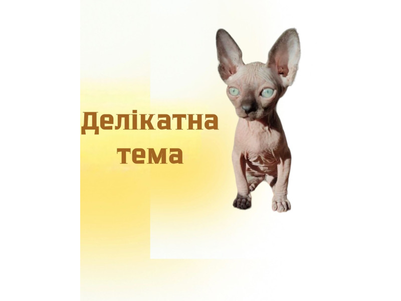 Ми незаслужено в наших постах пишемо слова «ваш пухнастик» забуваючи про те що