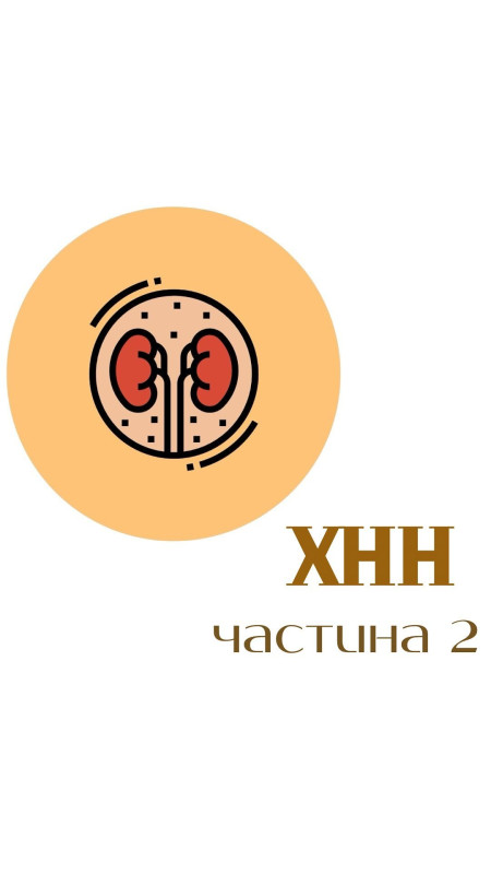 Кішкам із захворюваннями нирок важливо дотримуватися спеціальної дієти Ключові