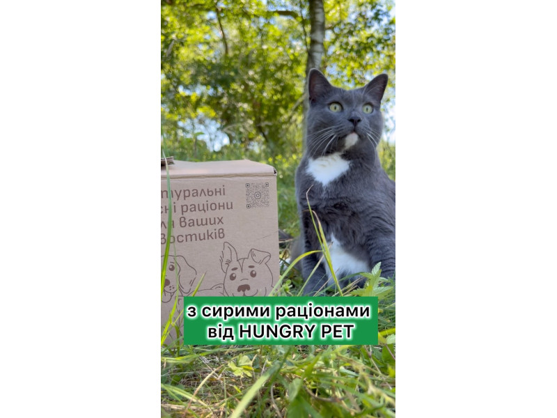 Привіт мяу Я Томас і я щасливий кіт Мені 8 років і 6 з них я на натуральному
