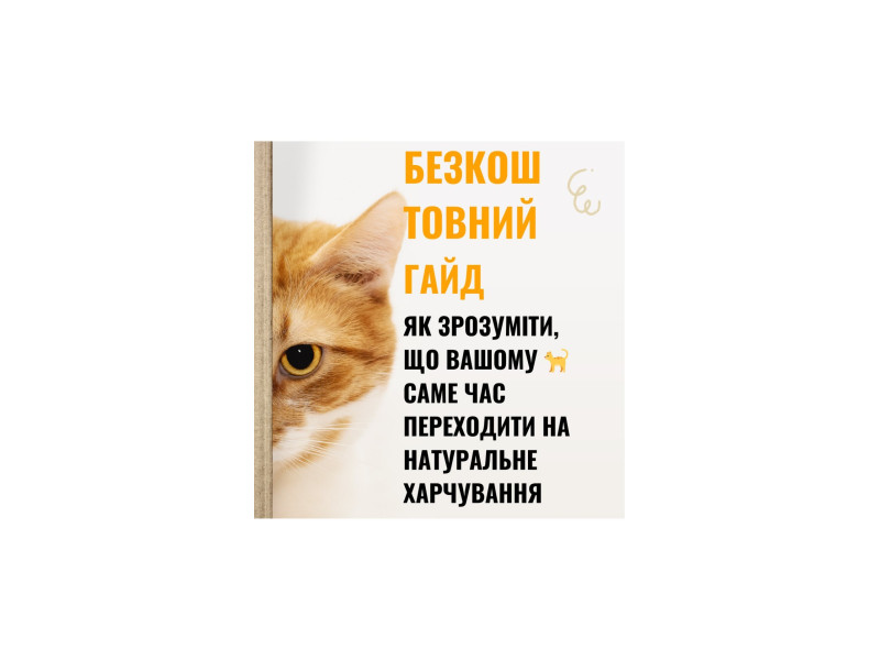 Томас постарався і написав Безкоштовний Гайд на тему «Як зрозуміти що вашому