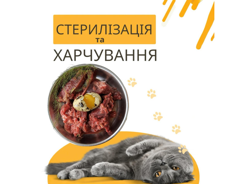 «Чим відрізняється харчування стерилізованих улюбленців » відповідає наша чудова