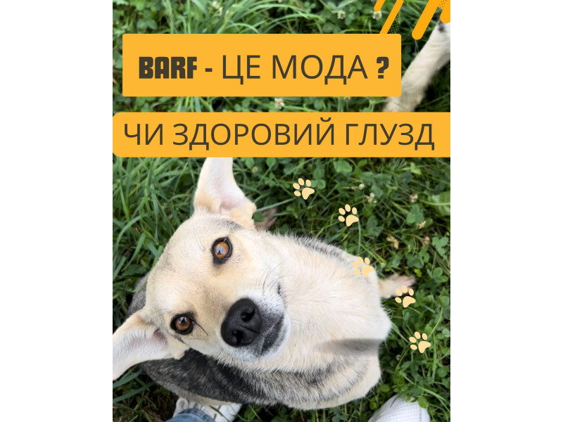 А ви знали що кішки та собаки які їдять натуральну їжу живуть на 25% довше за