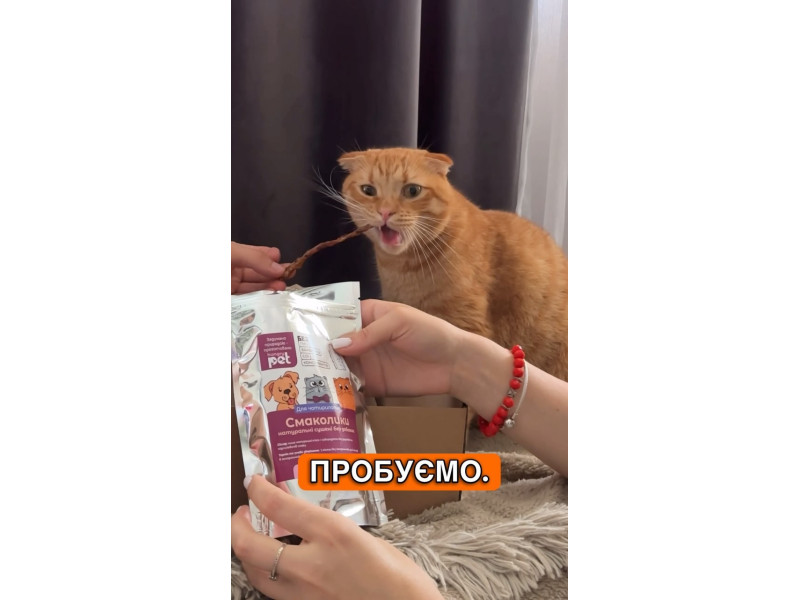 Бокс натуральних сушених смаколиків від @hungrypet ua включає рибні палички 100