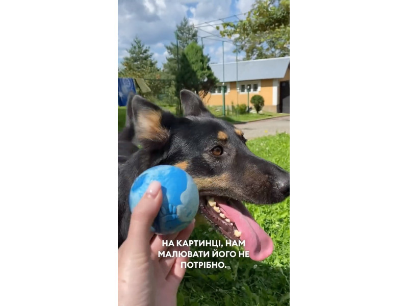 Хто побачив свого хвостика у відео ☺️ пишіть в коментарях ❤️ Натуральне сире