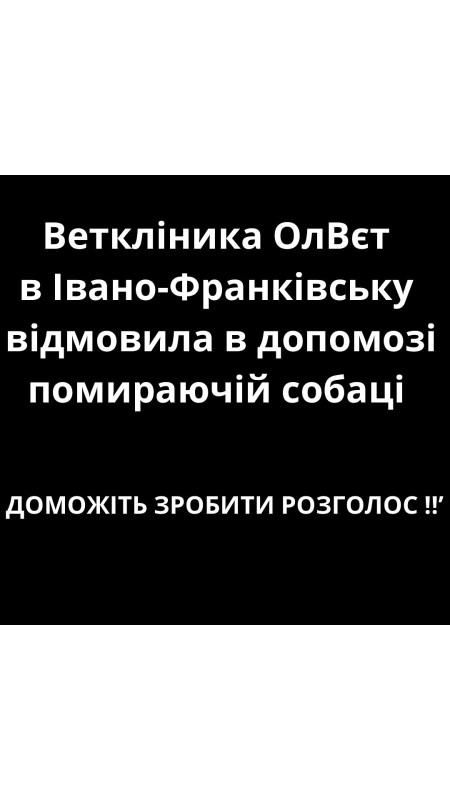 12 09 2024 близько 6 ої години вечора ми як завжди поїхали на заправку