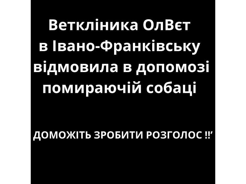 12 09 2024 близько 6 ої години вечора ми як завжди поїхали на заправку