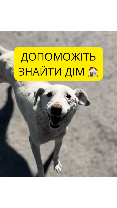 Друзі щиро дякуємо за підтримку я не очікувала такої активності та допомоги тому