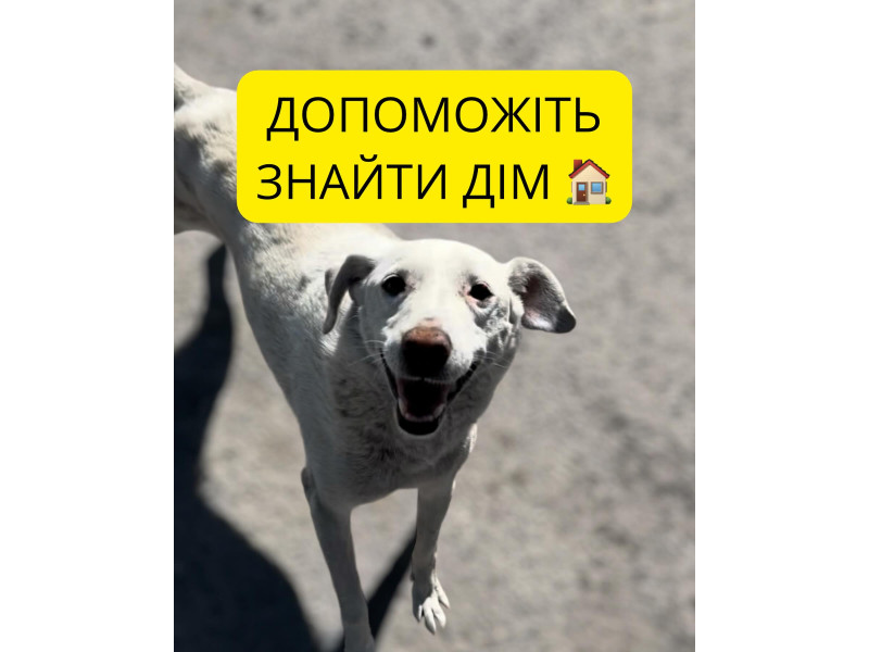 Друзі щиро дякуємо за підтримку я не очікувала такої активності та допомоги тому