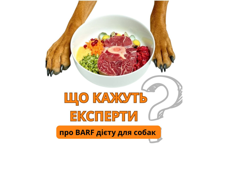 Що кажуть експерти про дієту Barf ❔ Дієта BARF набувала популярності серед