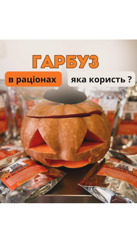 В раціонах @hungrypet ua у складі є певний % гарбуза 🎃 Давайте розбиратись чим