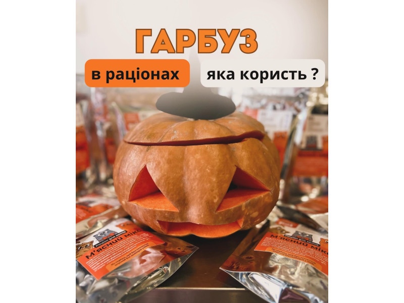 В раціонах @hungrypet ua у складі є певний % гарбуза 🎃 Давайте розбиратись чим