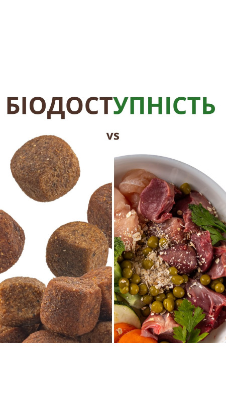 Перше що помічають власники улюбленців яких нещодавно перевели на натуральне