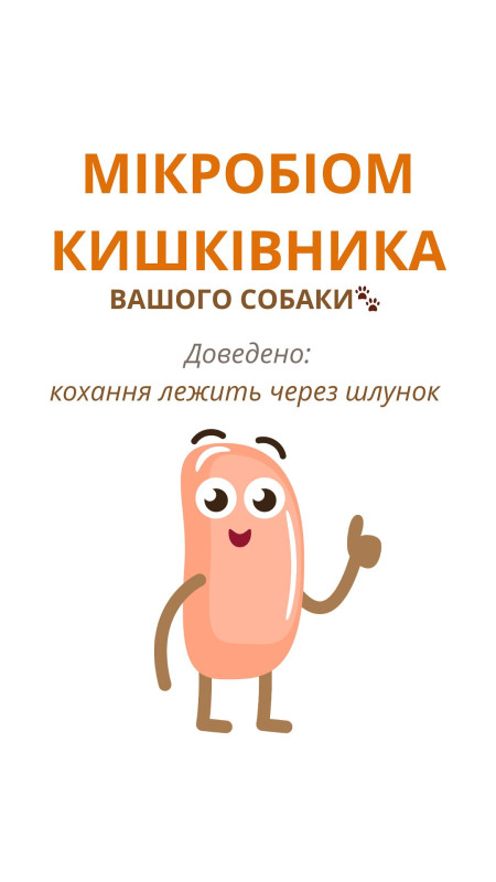 На нашій сторінці вже є пост про порівняльну біодоступність сухого та сирого