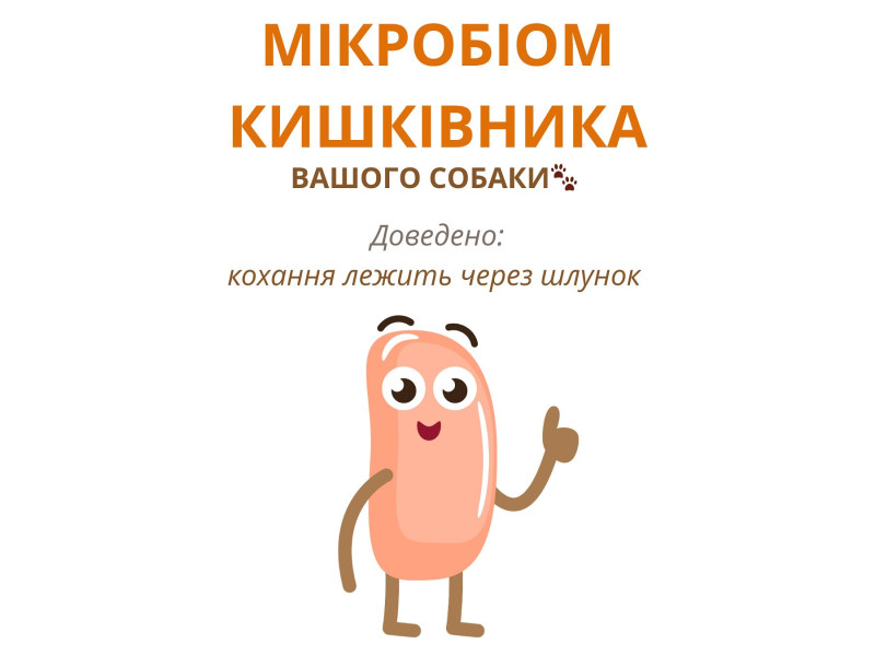 На нашій сторінці вже є пост про порівняльну біодоступність сухого та сирого