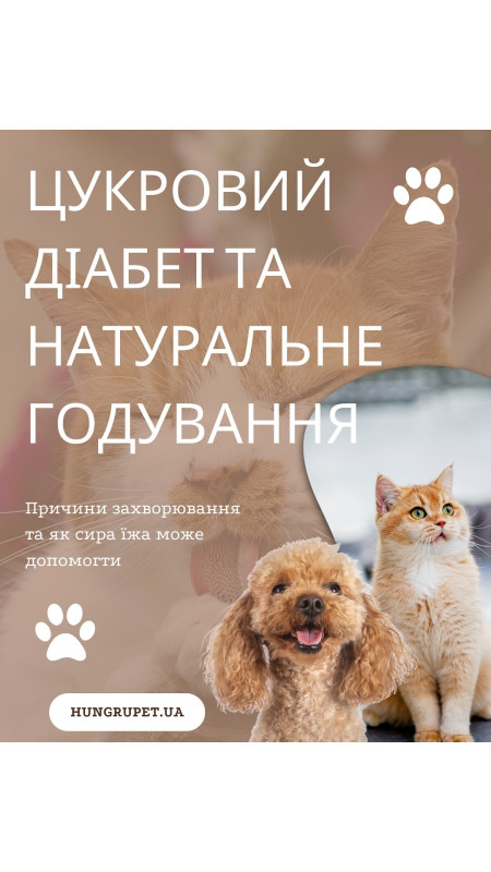 Цукровий діабет та харчування котів та собак 🐾 Звʼязок між цими двома складовими