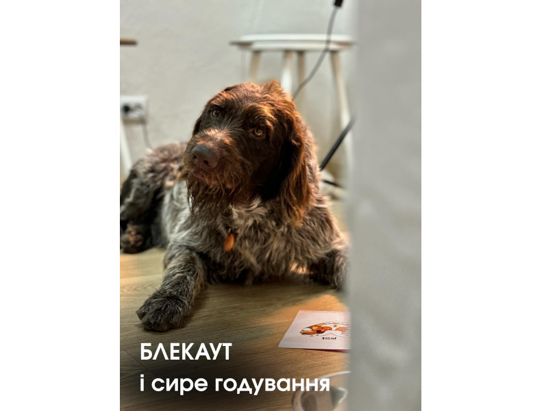 Друзі якщо знову зникає світло — не хвилюйтесь 💡 Ми вже проходили це разом і