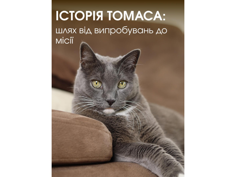 Історія Томаса почалася у жовтні 2016 року Саме тоді він з’явився у нашій родині