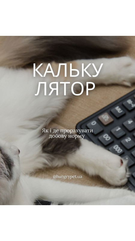 «Скільки потрібно грам на день моєму улюбленцю » найперше питання яке задають