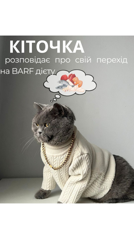 Історія від власниці @kulyyk_m киці луки якої не можуть не змусити посміхнутись