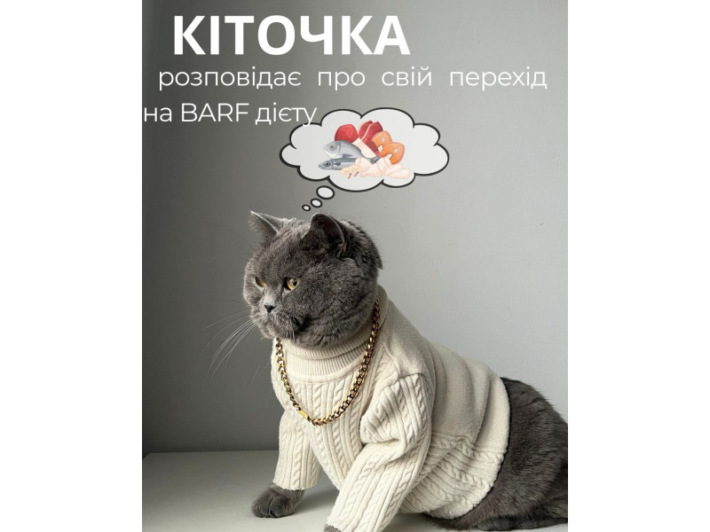 Історія від власниці @kulyyk_m киці луки якої не можуть не змусити посміхнутись