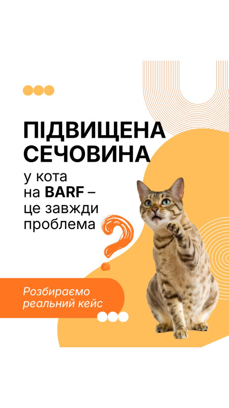 Нещодавно до нас звернулась наша постійна клієнтка котик якої вже 2 роки на