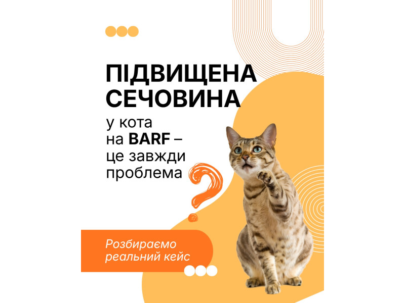 Нещодавно до нас звернулась наша постійна клієнтка котик якої вже 2 роки на