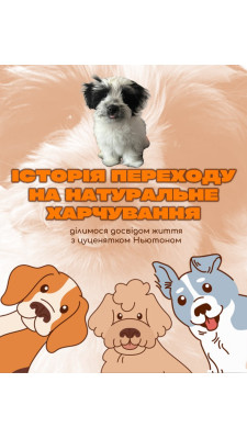 Презентацію за власною ініціативою зробила наша клієнтка @kateryna stepanova_ 🤗