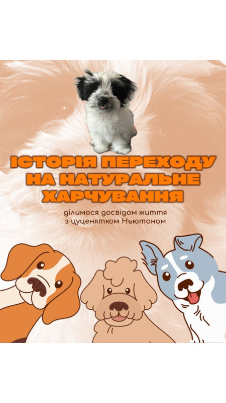 Презентацію за власною ініціативою зробила наша клієнтка @kateryna stepanova_ 🤗