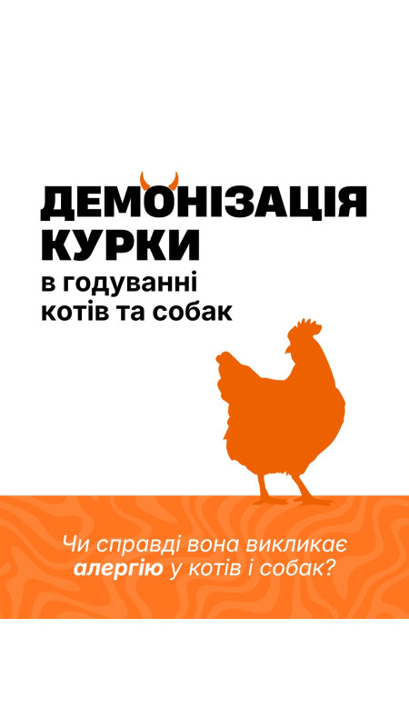 Курка — не ворог 👿 Але дуже часто саме її «звинувачують» у алергічних проблемах