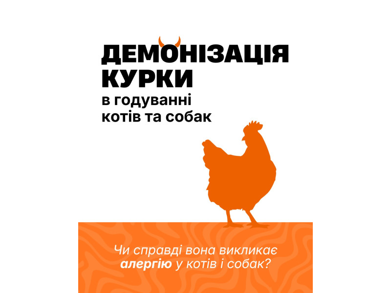 Курка — не ворог 👿 Але дуже часто саме її «звинувачують» у алергічних проблемах