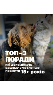 Такі фактори як генетика навколишнє середовище та раціон суттєво впливають на