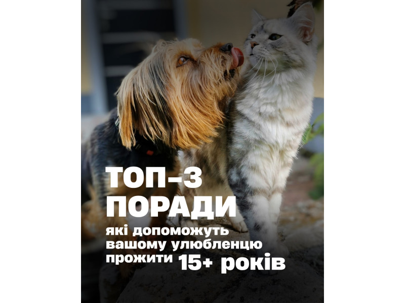 Такі фактори як генетика навколишнє середовище та раціон суттєво впливають на