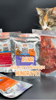 Невеличкий перекус у котородини @hungrypet ua 🤭 #барфдлякотів #барф #барфукраїна