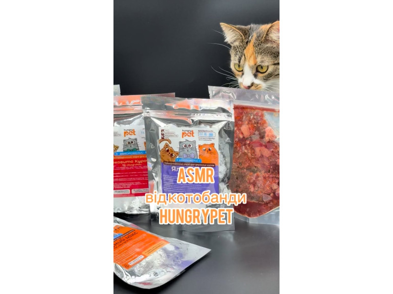 Невеличкий перекус у котородини @hungrypet ua 🤭 #барфдлякотів #барф #барфукраїна