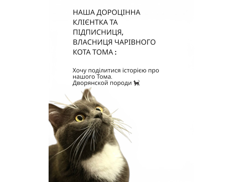 Чи всі Томаси стають справжніми хижаками сироїжками 🤭 Дякуємо тьосочкі Тому що