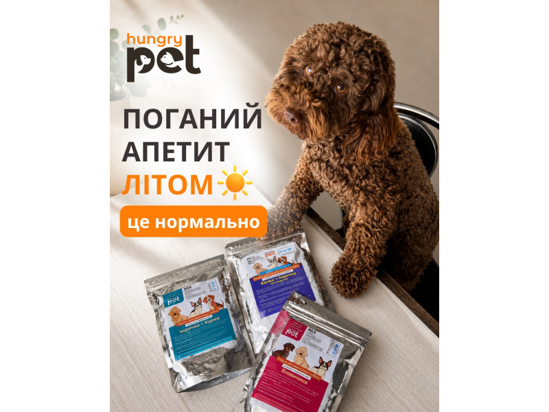 Літо час коли багато власників помічають млявість та поганий або знижений апетит