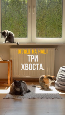 Невелике або можливо велике home відео про дитинство Томаса нашу історію
