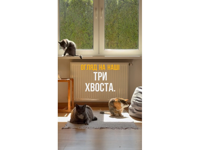 Невелике або можливо велике home відео про дитинство Томаса нашу історію