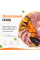 Раціон індичка та курка для собак малих і середніх порід HungryPet
